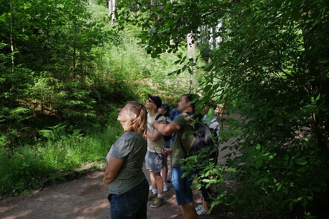 3 in 1 Tour Brewery & Castle in Bohemian Paradise Unesco Geopark - Why This 3-in-1 Day Trip Works from Prague