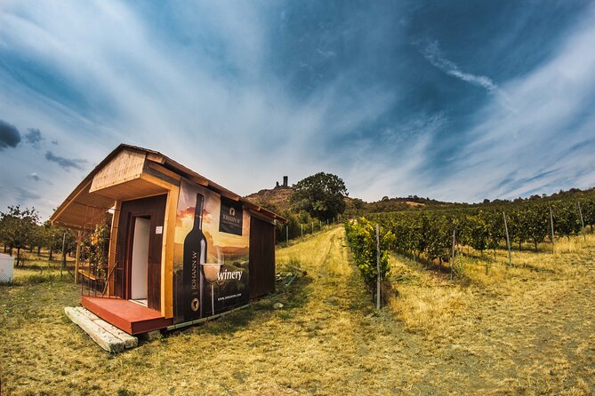 A delightful wine tasting in the scenic countryside with lunch - Lunch in the countryside: where the Czech comfort lands