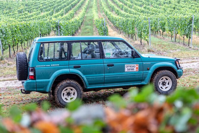 A delightful wine tasting in the scenic countryside with lunch - Jewish cemetery in the vineyards and medieval castle viewpoints