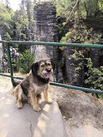 Bohemian Paradise (Český ráj) UNESCO geopark nature walks - Pace, footwear, and how much “effort” you’ll feel