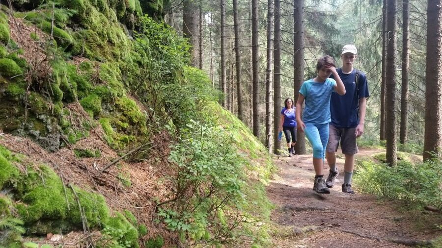 Bohemian Switzerland: Private Day Trip from Prague - Key highlights to know before you go