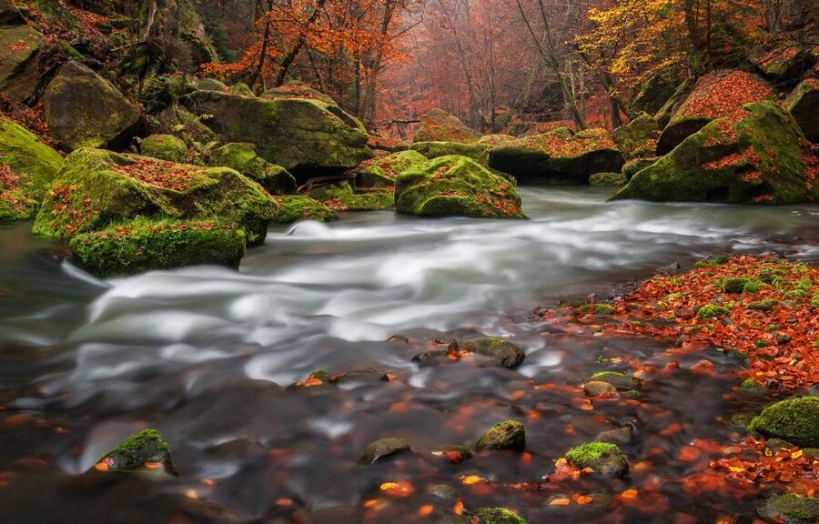 Bohemian Switzerland: Private Day Trip from Prague - Bohemian Switzerland in one 9-hour private day from Prague