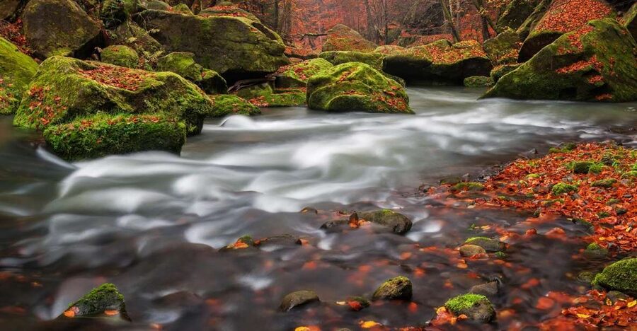 Bohemian Switzerland: Private Day Trip from Prague - What to bring and how to prep for comfortable walking