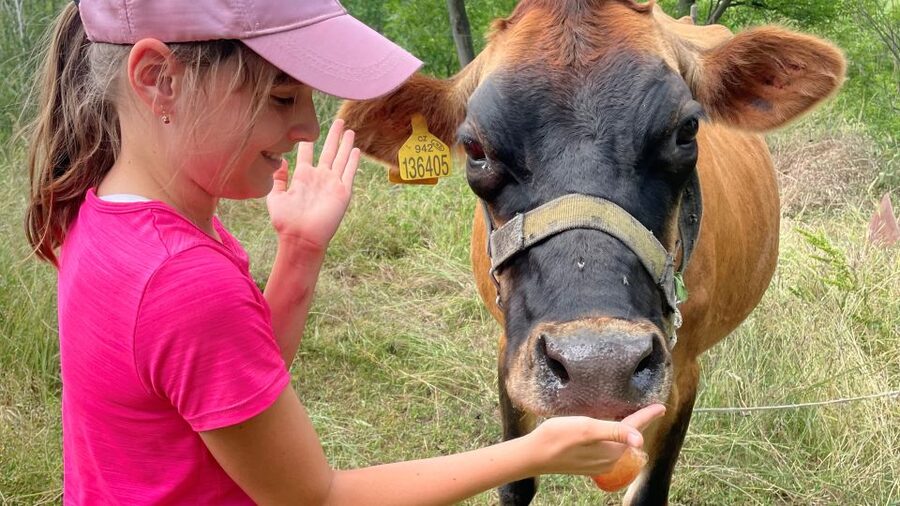 Bohemian Uplands: Garnet panning, Farm & Local Lunch&Beer - Booking tip: how to get the most out of your day