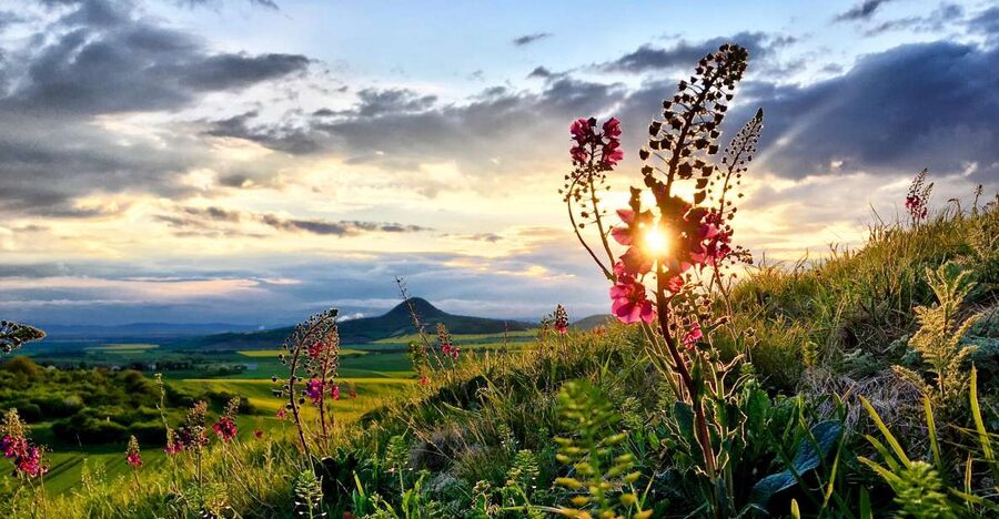 Bohemian Uplands: Garnet panning, Farm & Local Lunch&Beer - Price and value: does $293 make sense for a day trip?