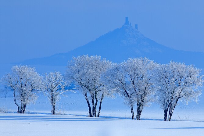 Cozy Winter Countryside Tour 4x4: Experience Authentic Bohemia - Johann W winery: modern production with historic surroundings