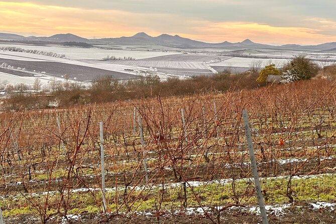 Cozy Winter Countryside Tour 4x4: Experience Authentic Bohemia - Vyhlídka Dubičky: Elbe canyon views in volcanic terrain