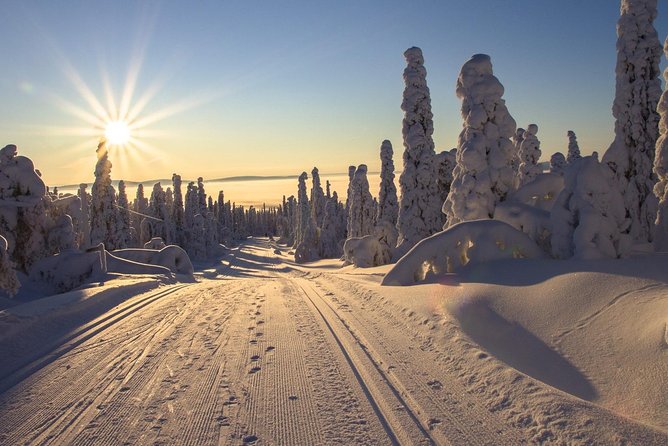 Cross-Country Skiing Guided Tour From Prague - A 9-hour Winter Escape From Prague to the Jizera Mountains