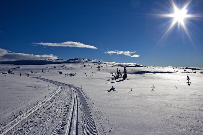 Cross-Country Skiing Guided Tour From Prague - Five Hours of Cross-Country Skiing in the Jizera Mountains