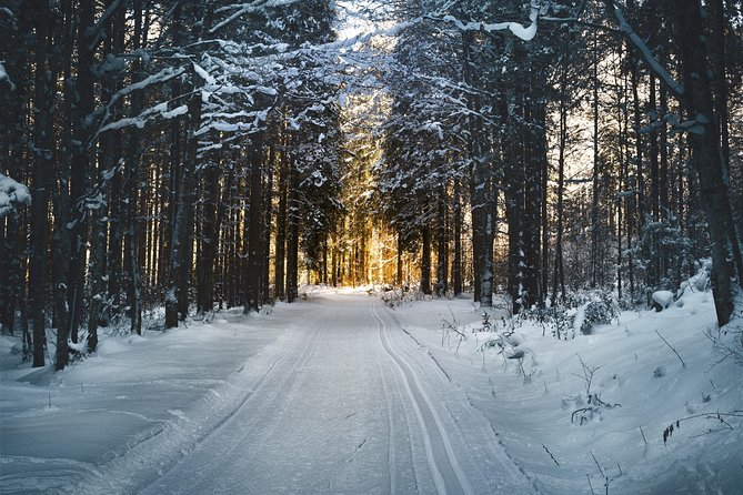 Cross-Country Skiing Guided Tour From Prague - The Liberec Lunch Stop That Breaks Up the Day