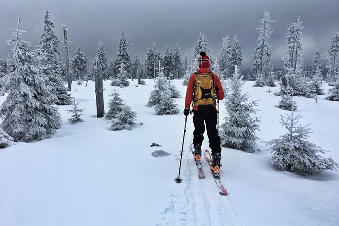 Cross-Country Skiing Guided Tour From Prague - Returning to Prague Around 6 pm With Photos (and Stories)