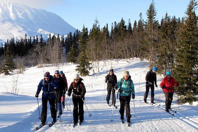 Cross-Country Skiing Guided Tour From Prague - Who This Tour Fits Best (and Who Might Skip)
