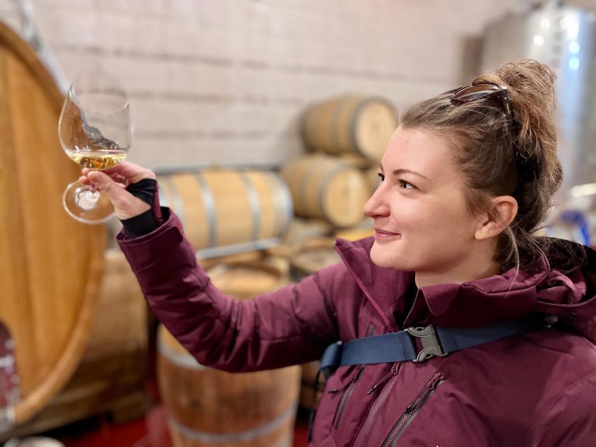 Czech Vineyards and Wine Tasting 4WD Tour with Lunch - Key highlights worth planning around