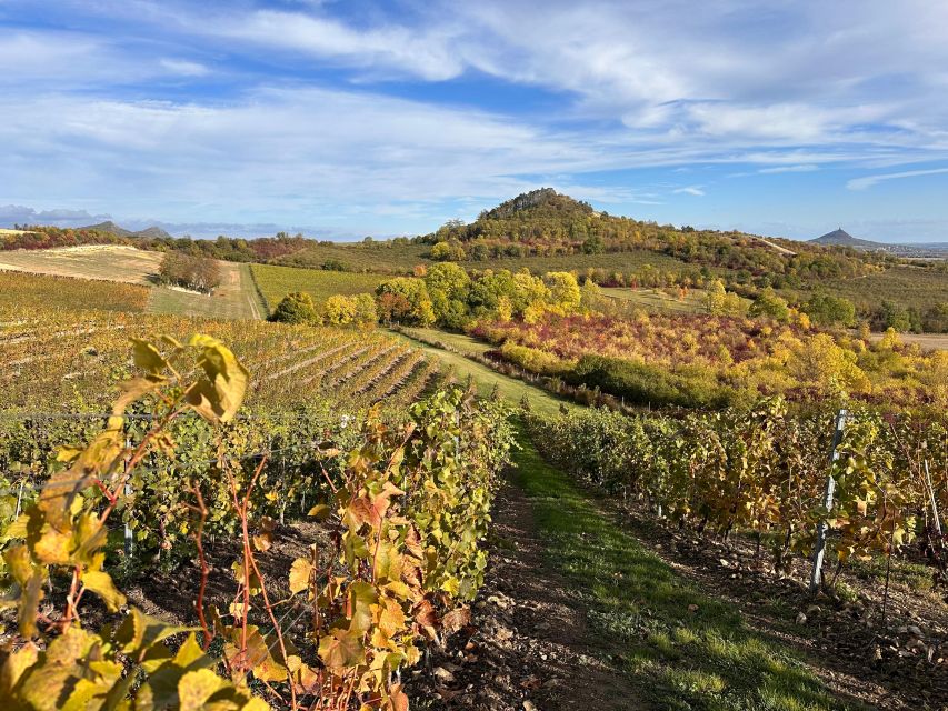 Czech Vineyards and Wine Tasting 4WD Tour with Lunch - Who should book this tour, and who might not love it