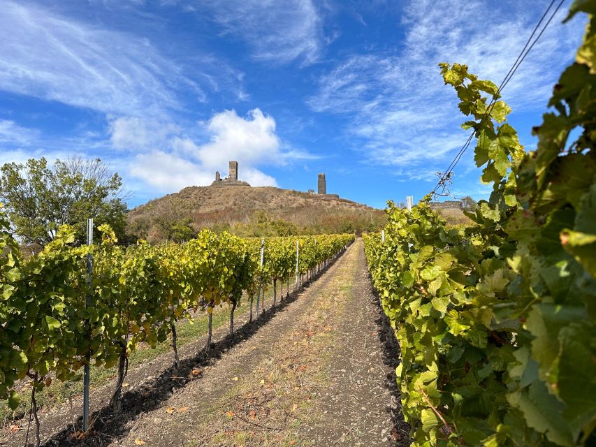 Czech Vineyards and Wine Tasting 4WD Tour with Lunch - Lunch with a view: Czech food, unlimited beer, and a relaxed finish