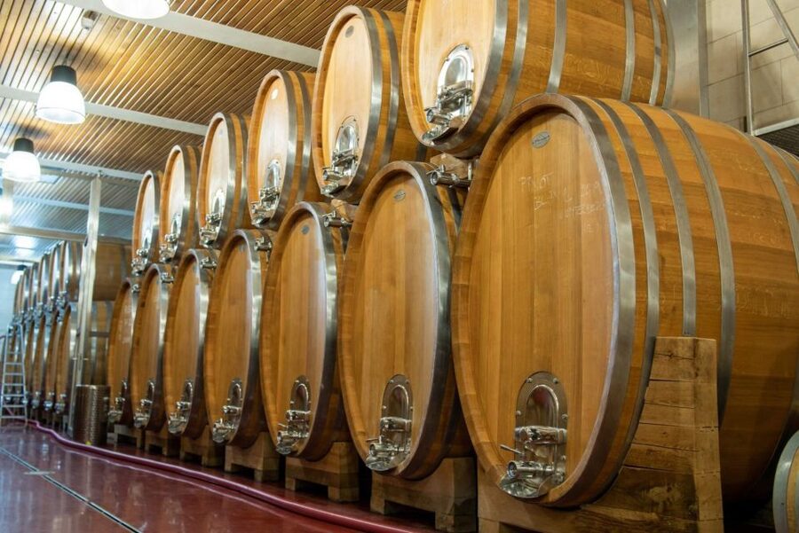 Czech Vineyards and Wine Tasting 4WD Tour with Lunch - Guides make the day: Peter, Martin, and the kind of answers you want