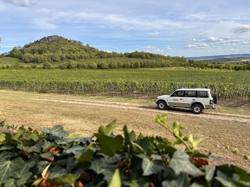 Czech Vineyards and Wine Tasting 4WD Tour with Lunch - Price and value: what $387 buys you (and why it’s not just wine)