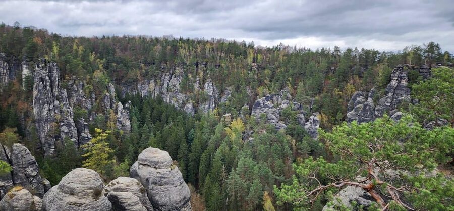 Day trip from Prague to Bohemian and Saxon Switzerland - The guide experience: Valerij Karobčic keeps it moving