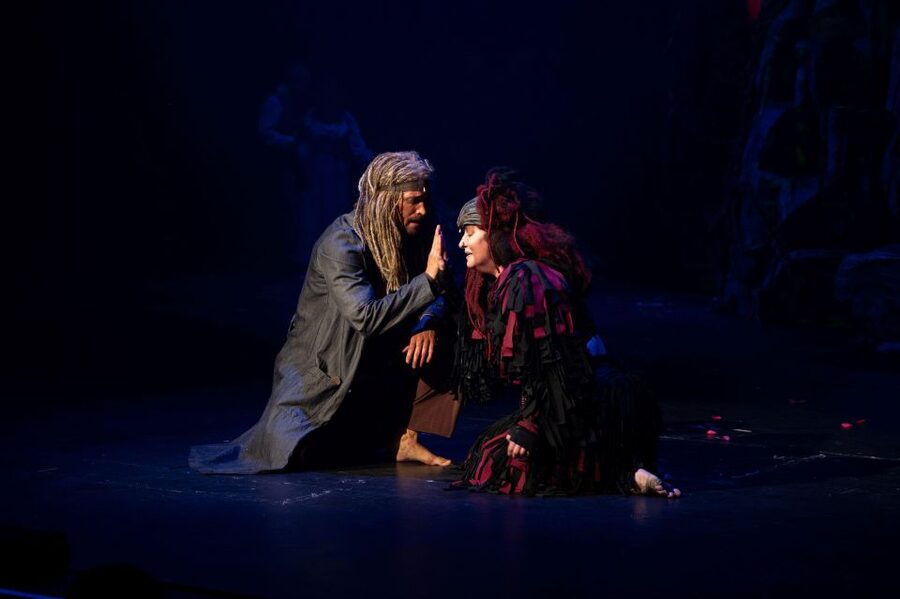 Disney's Tarzan Musical - Should You Book Disney’s Tarzan in Czech?