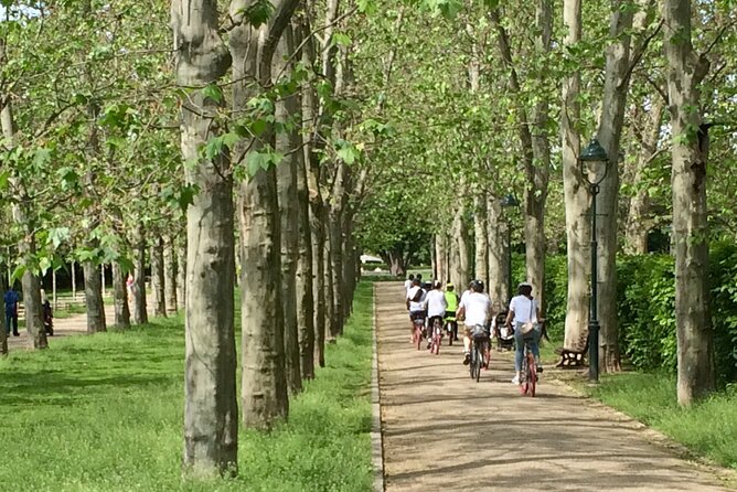 Exceptional Private Prague bike tour - Letná and Petřín Viewpoints: The Photo Stops That Teach the City