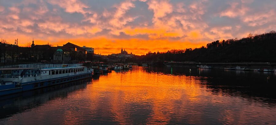 Exclusive Christmas cruise with Christmas Eve buffet - Key Highlights You’ll Feel Right Away