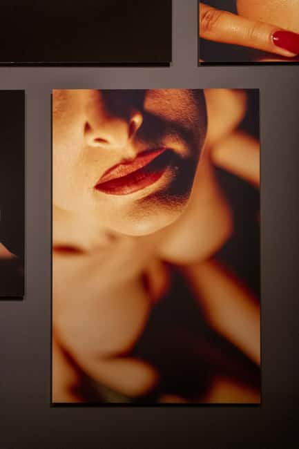 Exhibition David Lynch: Up in Flames - How to time your visit for the best pacing