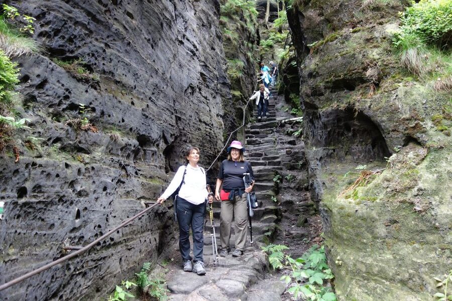 From Prague: Bohemian & Saxon Switzerland All-Inclusive Tour - Pacing, fitness, and what to pack for this active day