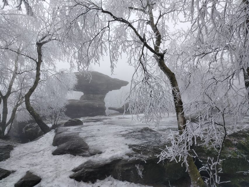 From Prague: Bohemian & Saxon Switzerland Iconic Day Trip - How the Season Changes the Day (And Why That’s a Good Thing)