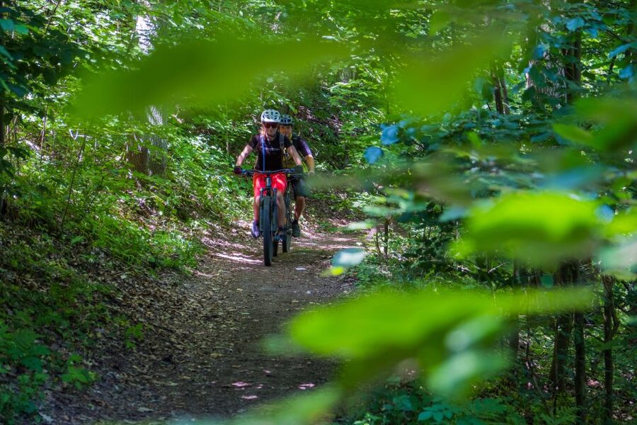 From Prague: E-Mountain Biking Trip to the Bohemian Paradise - First Stretch to Trosky Castle: Lanes, Gravel, and Early Views