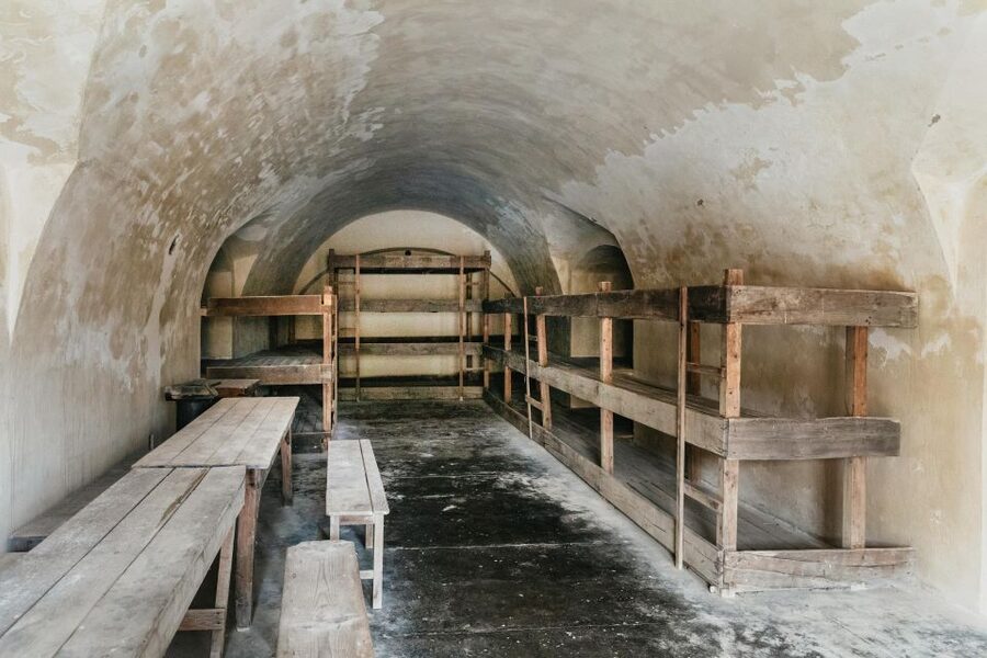 From Prague: Terezin Concentration Camp Guided Tour w/ Audio - Pace, Comfort, and Practical Tips for This Half-Day Format