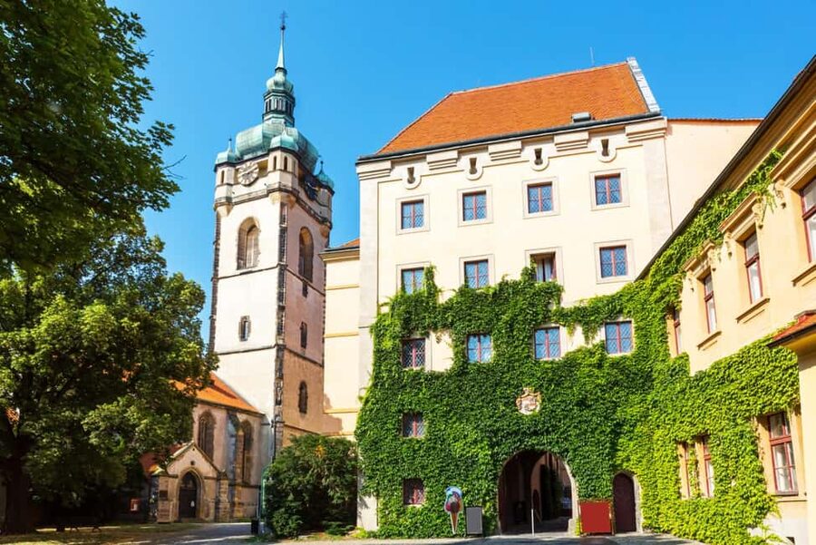 From Prague to the Vineyards: Wine & Gastronomy Tour - Who this tour fits best (and who should rethink it)
