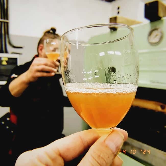 From Prague to the Vineyards: Wine & Gastronomy Tour - Practical tips so your day runs smoothly