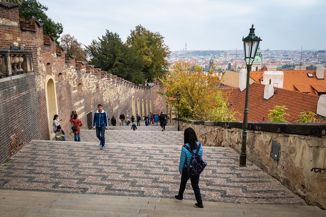 Full-Day Prague Tour with Prague Castle, Lunch and Vltava Cruise - A 3-course Czech pub lunch with vegetarian options