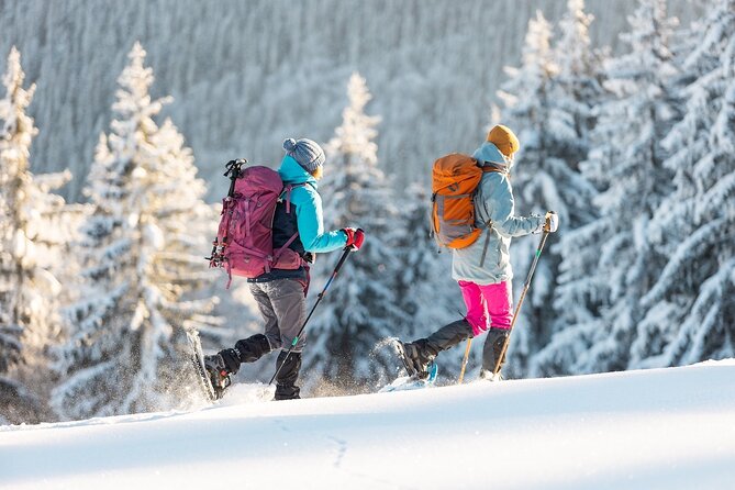 Half-Day Snowshoe Trip from Prague - Key highlights you’ll feel right away