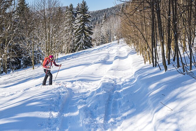 Half-Day Snowshoe Trip from Prague - Afternoon pickup and the ride out of Prague