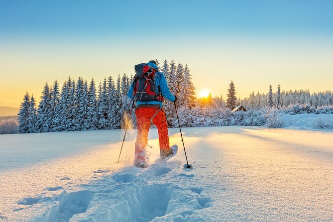 Half-Day Snowshoe Trip from Prague - Reaching Jested Tower and warming up with optional dinner