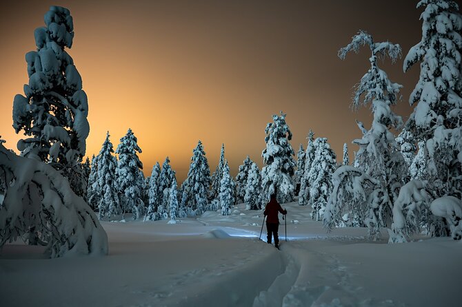 Half-Day Snowshoe Trip from Prague - Night snowshoeing with headlamps: the last 30 minutes