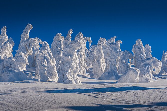 Half-Day Snowshoe Trip from Prague - Small groups, real guide energy, and what Martin and Benji do well
