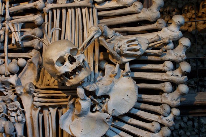 Half-Day Trip to Kutna Hora+Bone Church and Free Time from Prague - Na Příkopě meetup and minivan ride: the comfort trade you’re really buying