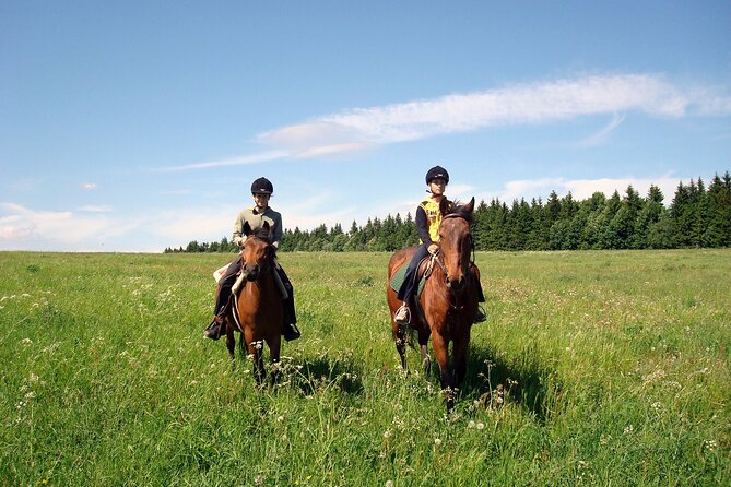 Horseback Riding Tour in Bohemian Switzerland - The 4-hour horseback ride inside the national park