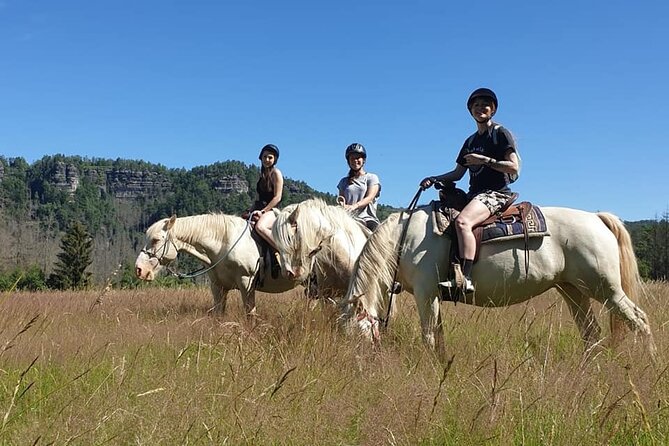 Horseback Riding Tour in Bohemian Switzerland - Who this tour suits best (and who might rethink it)