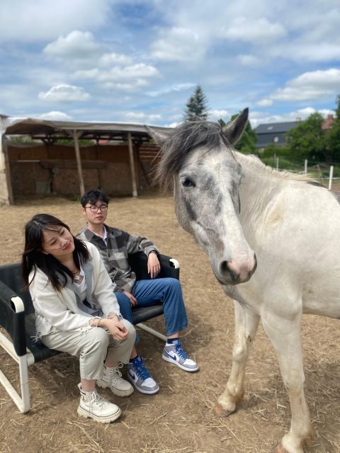 Horseback riding tour near Prague - Before You Ride: Helmet Fitting, Meet-the-Horses Time, and Clear Rules