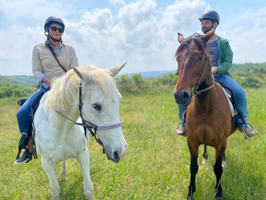 Horseback riding tour near Prague - Lake Entry and Horse Swimming: When Hot Weather Makes It Special