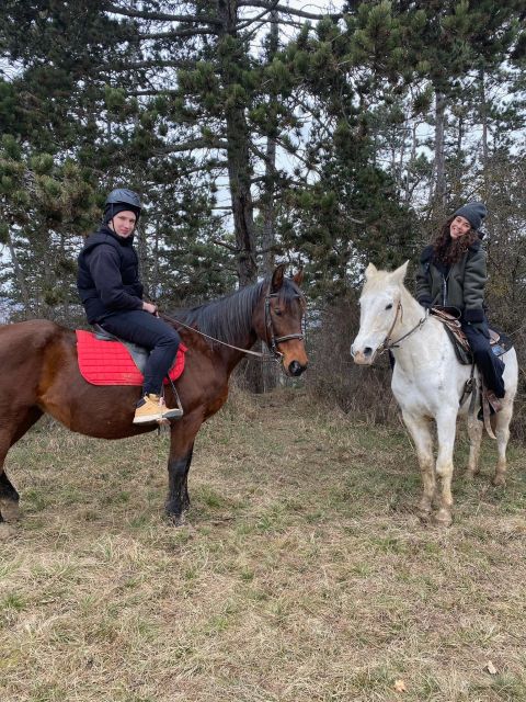 Horseback riding tour near Prague - Price and Value: What You’re Really Paying For