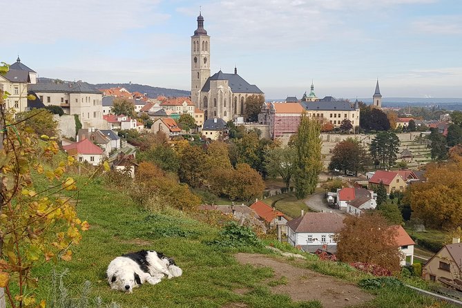 Kutná Hora and Bone church - private tour with PERSONAL PRAGUE GUIDE - Cemetery Church of All Saints Ossuary: When Human Bones Become Art