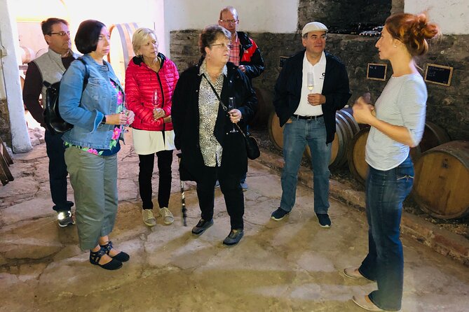 Kutná Hora UNESCO, Bone Church & Biodynamic Wine Private Tour - Two-Course Czech Lunch in Kutná Hora’s Historical Center