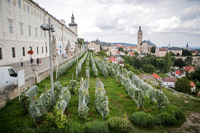 Kutná Hora UNESCO, Bone Church & Biodynamic Wine Private Tour - Price and Value: Is $341.87 Worth It?