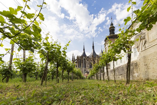 Kutná Hora UNESCO, Bone Church & Biodynamic Wine Private Tour - DEMETER Biodynamic Winery: What You Learn Before You Taste