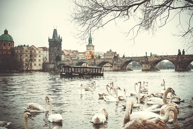 Magical Prague Private Half-Day Tour - Pickup in downtown Prague: fewer hassles, better first hour