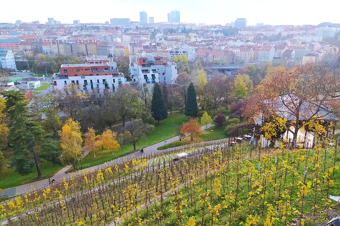 Non-touristy Prague - Cozy Neighborhoods - Private Tour - Žižkov: the local spirit quarter that still feels like Prague